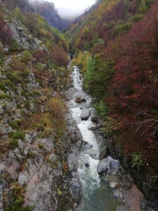 Gite De Noe Au Ray-Pic Pereyres エクステリア 写真