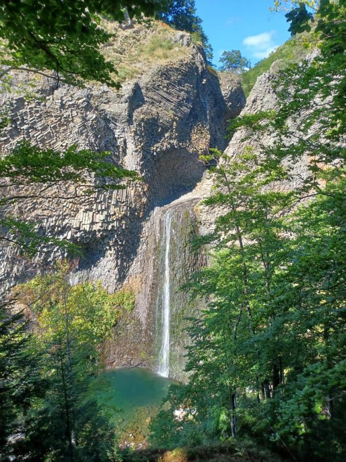 Gite De Noe Au Ray-Pic Pereyres エクステリア 写真