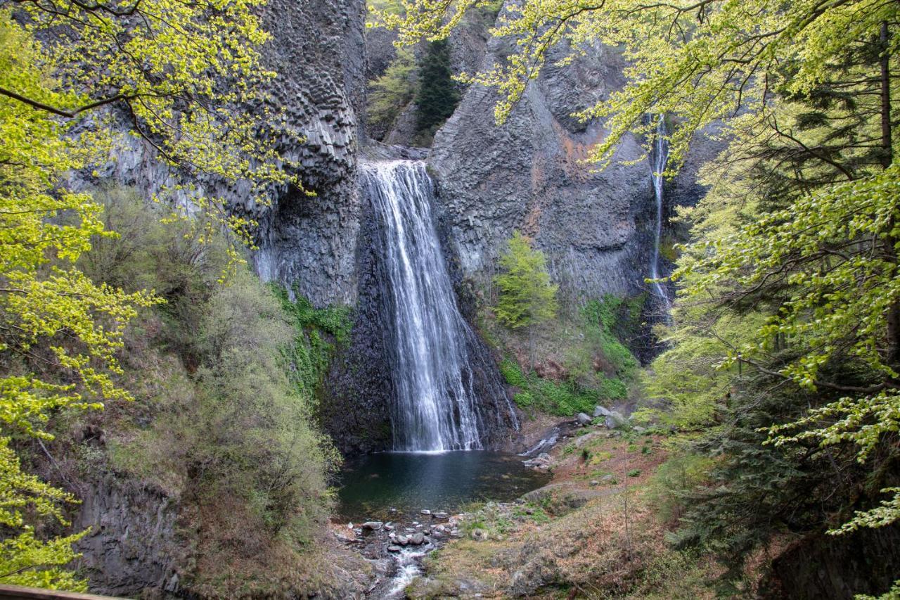 Gite De Noe Au Ray-Pic Pereyres エクステリア 写真