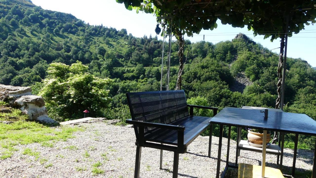 Gite De Noe Au Ray-Pic Pereyres エクステリア 写真